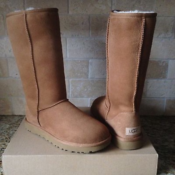 UGG Shoes - Ugg boots Tall